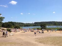 Man exposes himself to two teenage girls at Frensham Great Pond
