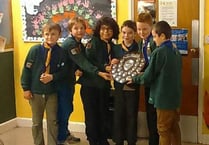 District cubs battle it out in Brainbox challenge