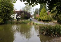 Pond tops list of Buriton's iconic green spaces