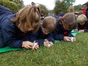 Early history brought alive for Royal pupils