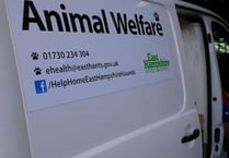 East Hampshire animal welfare service gains three RSPCA awards