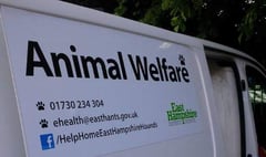 East Hampshire animal welfare service gains three RSPCA awards