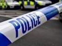 Man fined for damaging the habitat of a protected species near Selborne