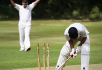 Elsted lose exciting match by just one wicket