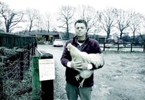 Bird flu poses no real threat in East Hampshire, stress farmers
