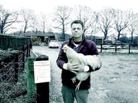 Bird flu poses no real threat in East Hampshire, stress farmers
