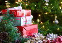 Residents near Petersfield urged not to give thieves a ‘Merry Christmas’