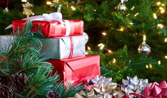 Residents near Petersfield urged not to give thieves a ‘Merry Christmas’