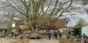 Froxfield school plans for new library and yurt