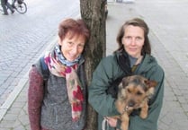 Help make Petersfield a Transition Town for a more sustainable future