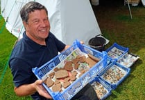Liss Archaeological Group complete Colemore spring dig