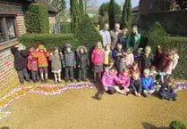 Petersfield pupils turn simple stones into a colourful Physic Garden show