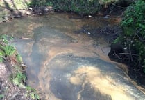 Petersfield stream given the all clear after fears it contained a "horrible cocktail" of pollution