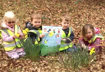 Squirrels change into Robins at Rogate school