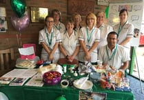 Petersfield Hospital staff raise awareness on therapy work