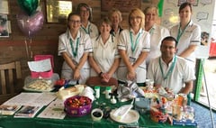 Petersfield Hospital staff raise awareness on therapy work