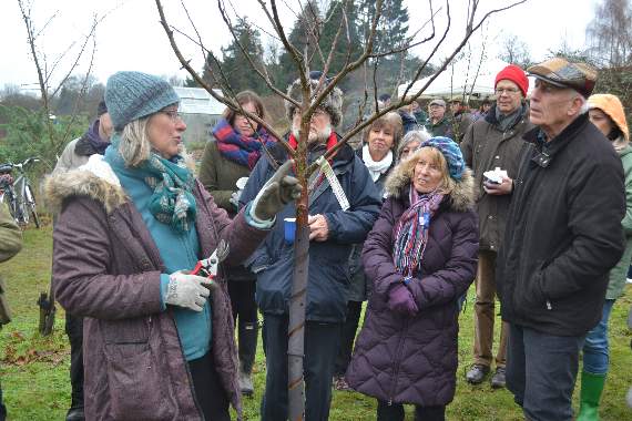 Hail to the Wassail as ceremony returns to Sheet orchard