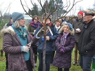 Hail to the Wassail as ceremony returns to Sheet orchard