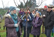 Hail to the Wassail as ceremony returns to Sheet orchard