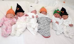 Hallowe'en babies' bobble hat campaign in line for award