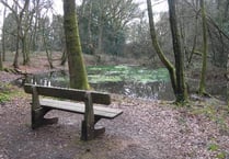 Bordon Inclosure wildlife benefits from experts
