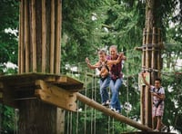 Hunt for Easter eggs high in the trees or among birds