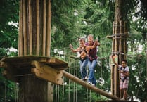 Hunt for Easter eggs high in the trees or among birds