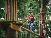 Hunt for Easter eggs high in the trees or among birds