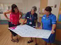 Long-serving Petersfield Hospital pair touched by town's 70th birthday messages to NHS