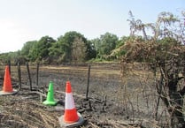 Public urged to take care after latest fire on Petersfield Heath