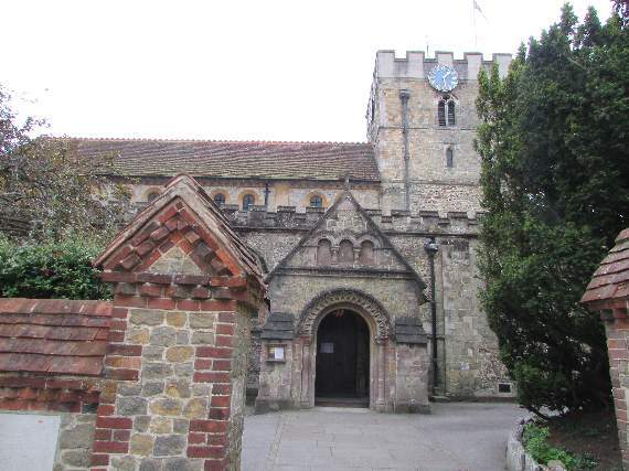 Box clever: Learn how to help swifts at PeCAN event in Petersfield