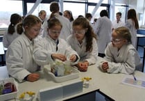 Pupils enjoy joint day of science experiments