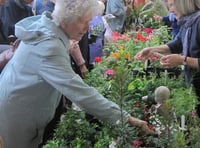 Haslemere Museum's Spring Plant Sale is a growing event