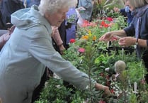 Haslemere Museum's Spring Plant Sale is a growing event