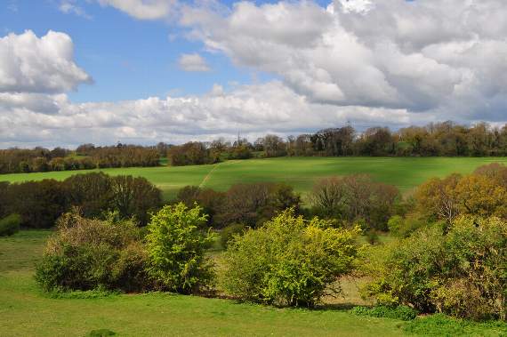 Short-term future of Catherington Down secured as local government changes loom