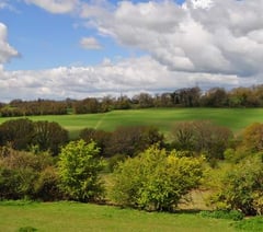Short-term future of Horndean parish beauty spot secured