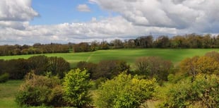 Short-term future of Horndean parish beauty spot secured