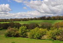 Short-term future of Catherington Down secured as local government changes loom