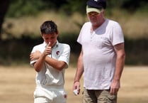 Marshall’s half-century can’t save Petersfield