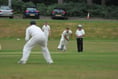 Liss hold nerve to claim vital one-wicket victory