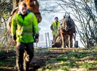Water firm shows off pulling power