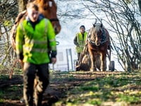 Water firm shows off pulling power