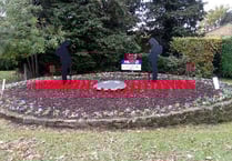 Liphook poppy display remembers fallen
