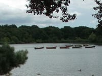 Fishy business over pond boundary recalled in play