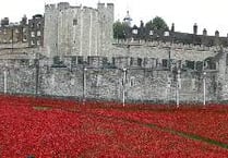Honouring the fallen heroes
