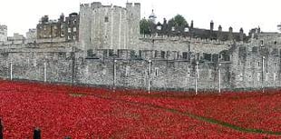 Honouring the fallen heroes