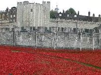 Honouring the fallen heroes