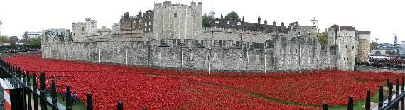 Honouring the fallen heroes