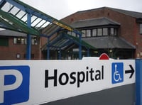 Hospital worker's big leap for wellbeing charity PP P5 BOTTOM STORY