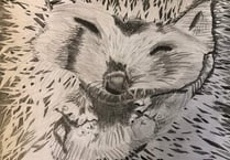 Wildlife art contest launched